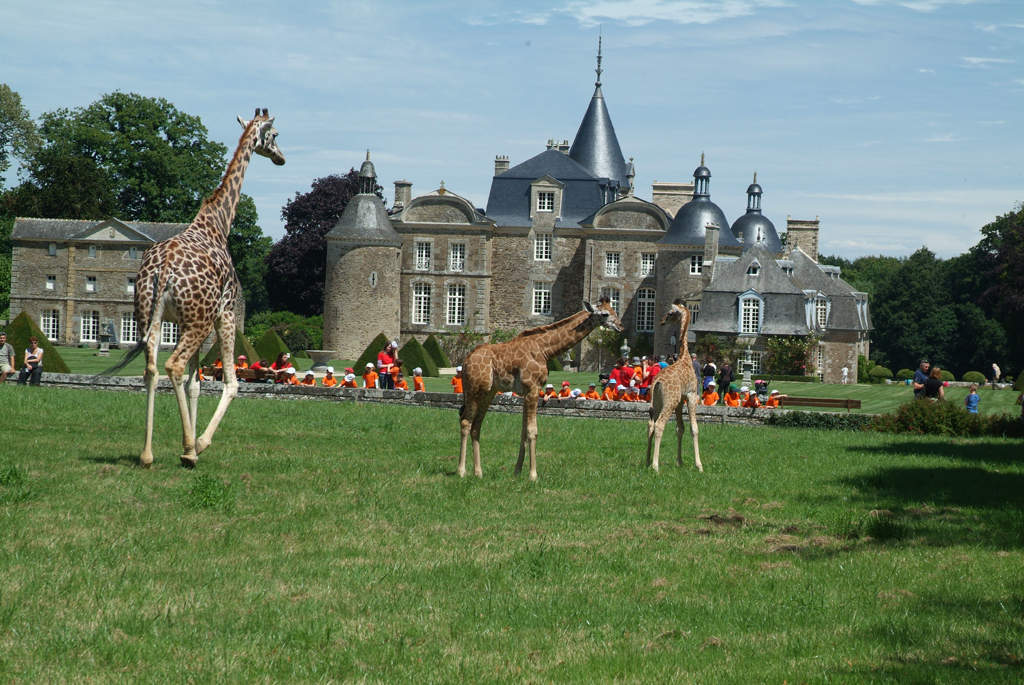 CH TEAU ET ZOO DE LA BOURBANSAIS Loisirs Bretagne 35 CH TEAU ET ZOO DE LA BOURBANSAIS Loisirs Bretagne 35