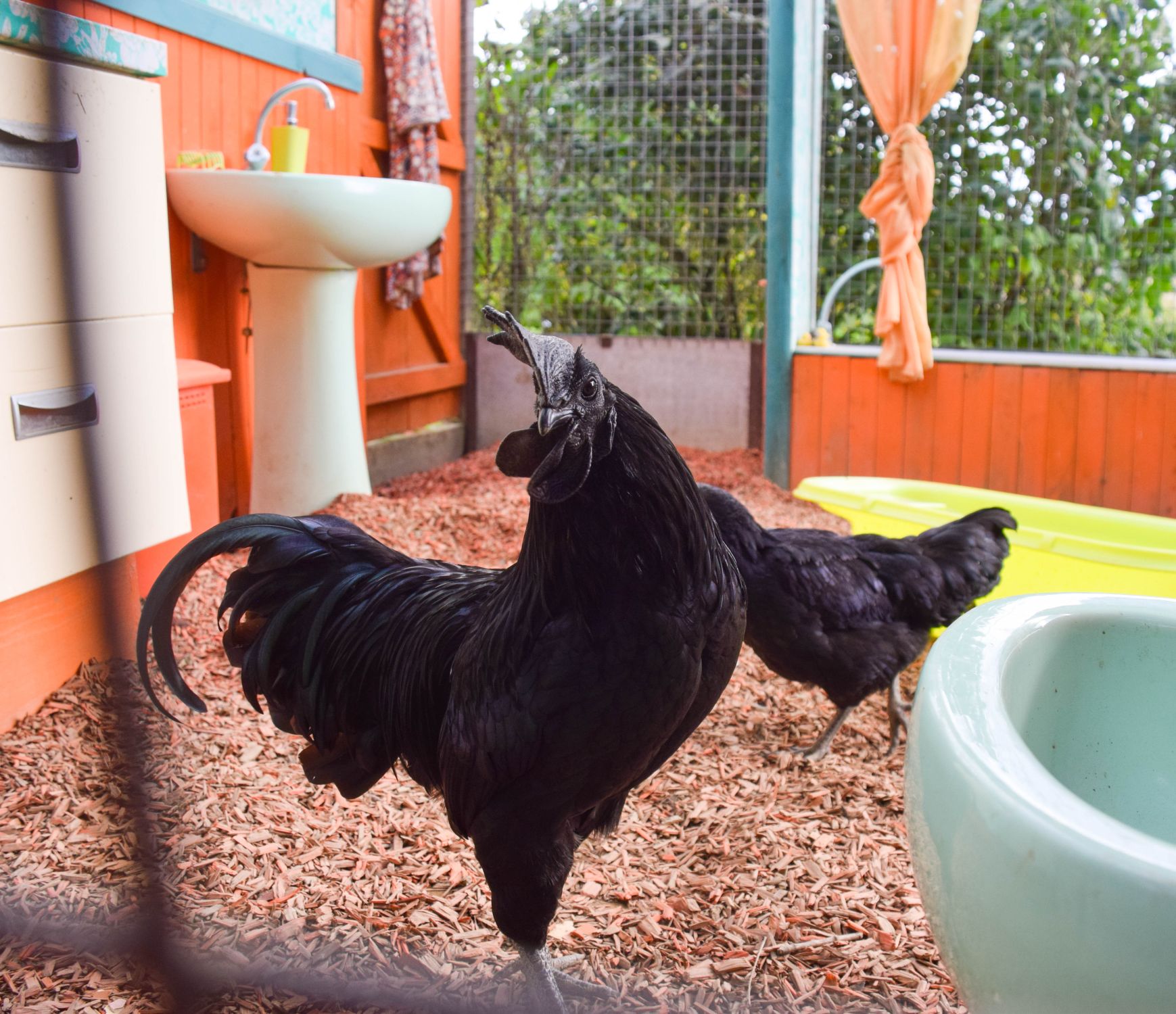 jardins de brocéliande