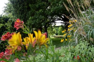 les Jardins de Brocéliande, fleurs
