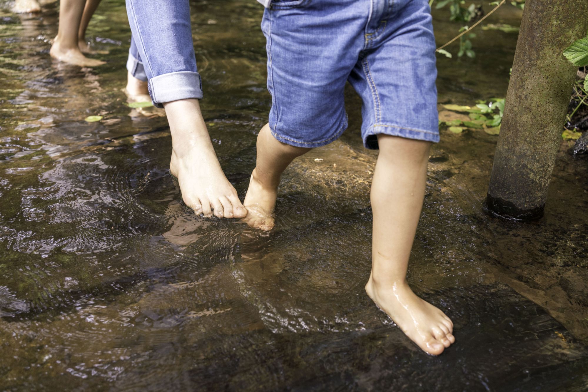 pieds, rivière, parcours sensoriel