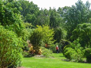 Jardins de Brocéliande promenade