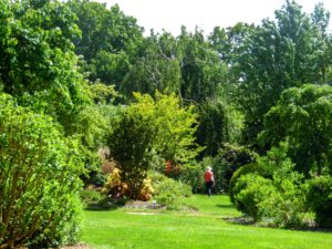 Jardins de Brocéliande, jardin à l'anglaise