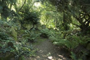 rocaille, Jardins de Brocéliande