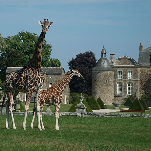 CHÂTEAU ET ZOO DE LA BOURBANSAIS