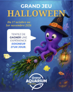 octoween grand aquarium st malo