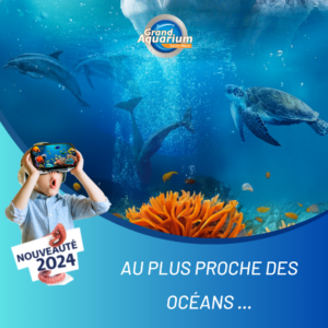 Nouveauté grand aquarium 2024