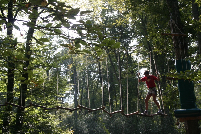 Jeux, biodiversité et auteurs locaux